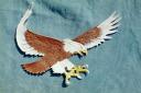 leathereagle.jpg