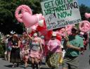 orcas-code-pink.jpg
