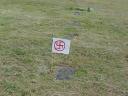 washington-veteran-grave.jpg