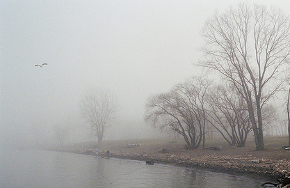 foggy-dew-ii.jpg foggy-dew-ii.jpg