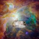 hamsters-to-orion-copy.jpg