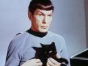 spock-and-cat.jpg