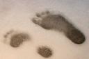 snowprints.jpg