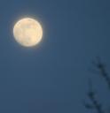 moon-1-20-2008.jpg