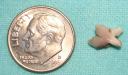 puppy-tooth-and-dime.jpg