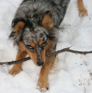 kaseys-gotta-stick