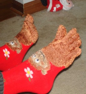 monkey-toes