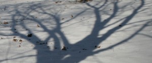 snow-shadows