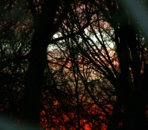 sunset-2008-12-31-08