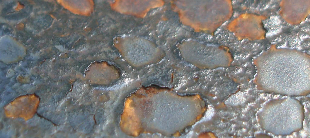 bbq-lid