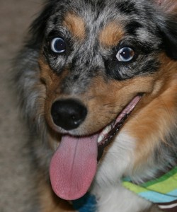 kasey-tongue