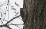 IMG_1027 IMG_1027