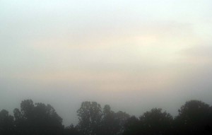 2011 08 21_5569