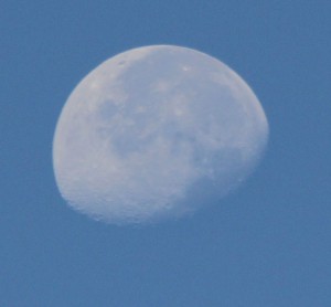 August Morning Moon