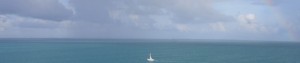cropped-IMG_3815_edited-1.jpg