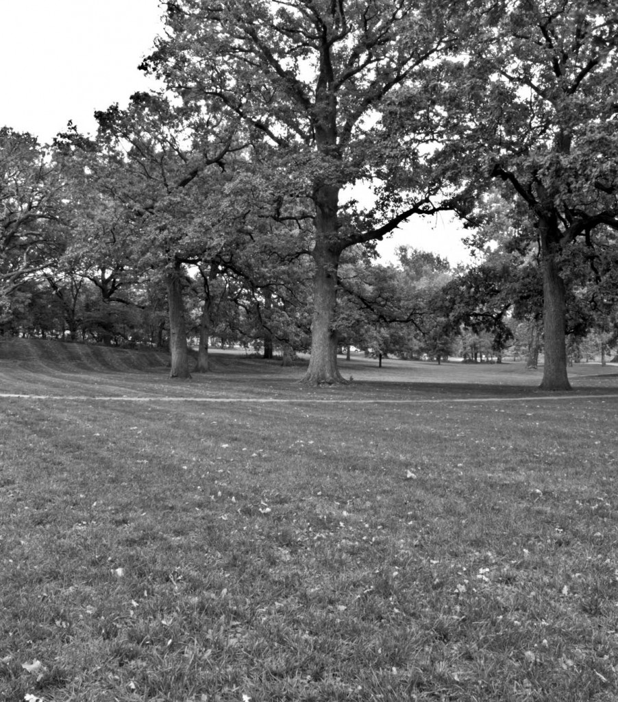 Park