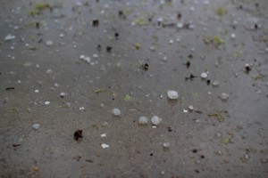 IMG_8069