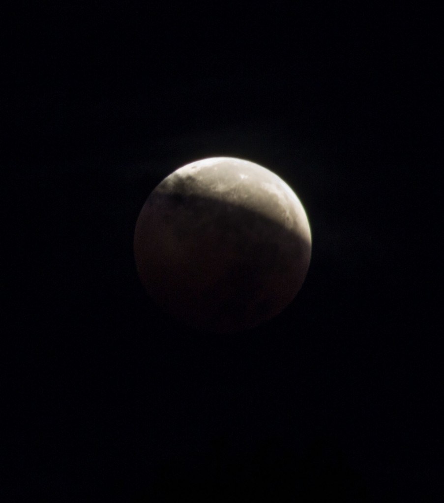 IMG_0124